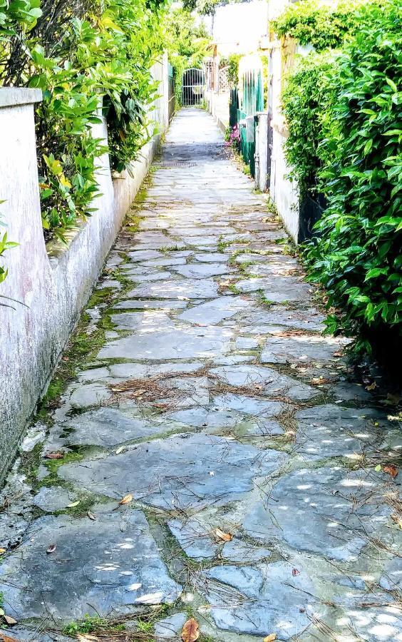 Casa Tonfoni Villa Torre del Lago Puccini Ngoại thất bức ảnh